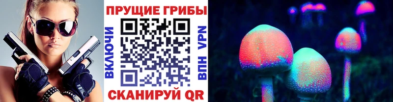 Псилоцибиновые грибы прущие грибы  Камень-на-Оби 